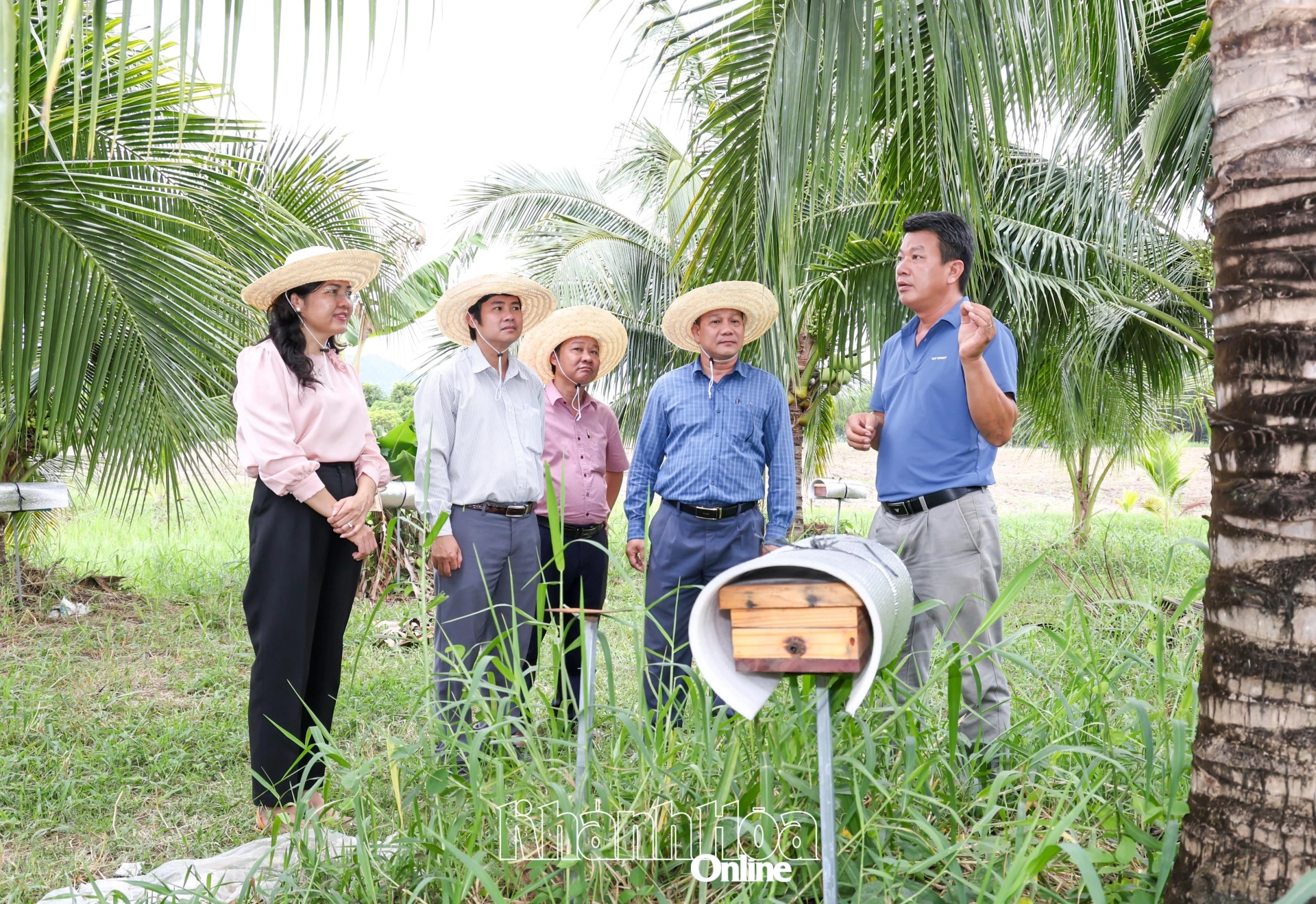 Khánh Hòa có 3 nông dân được vinh danh "Nông dân Việt Nam xuất sắc 40 năm đổi mới" năm 2026