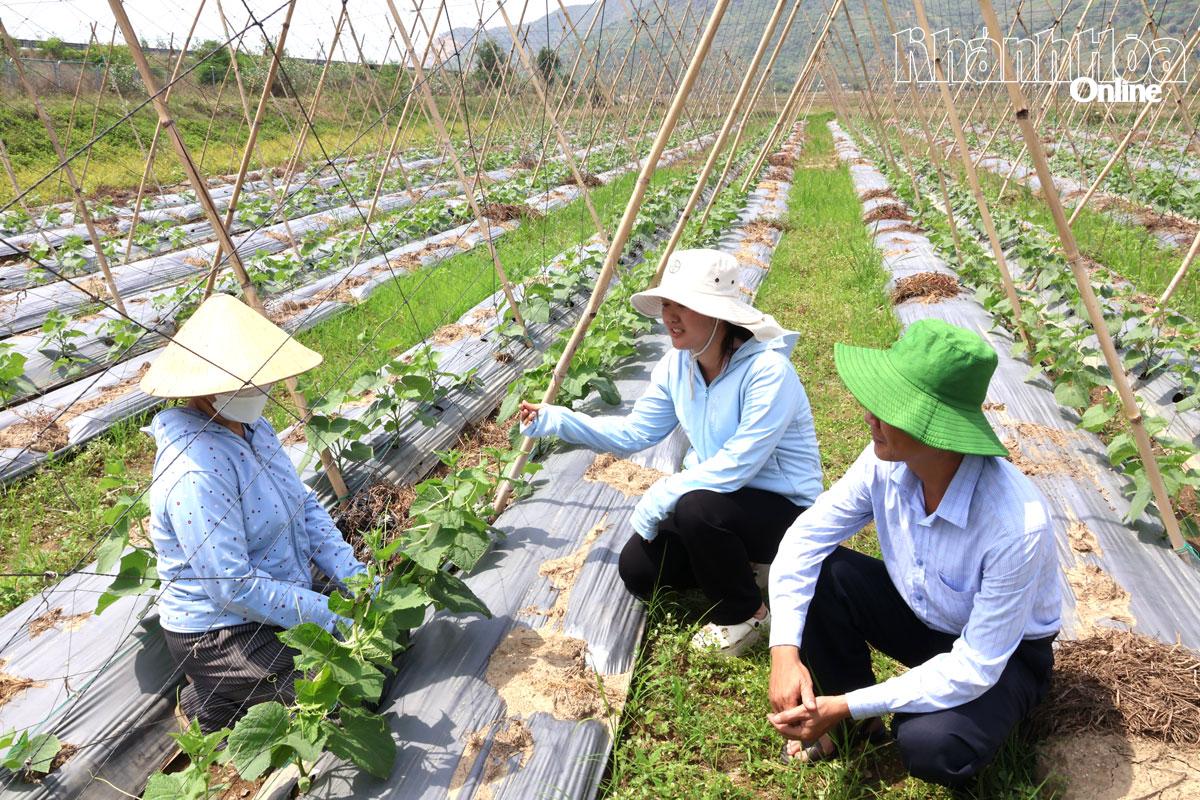 Nâng cao giá trị sản xuất trên những "vùng đất khó"