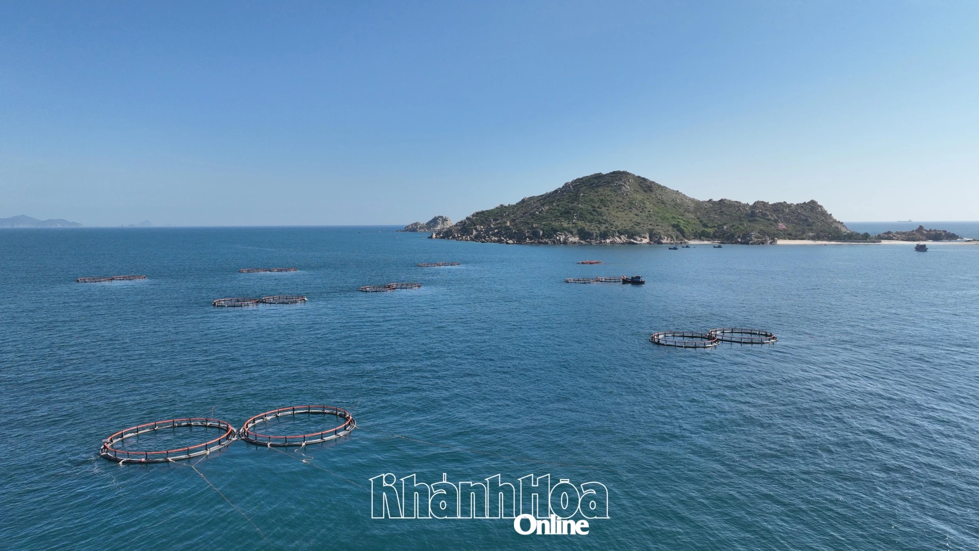 Phát triển nuôi biển công nghệ cao: Hỗ trợ để đầu ra ổn định