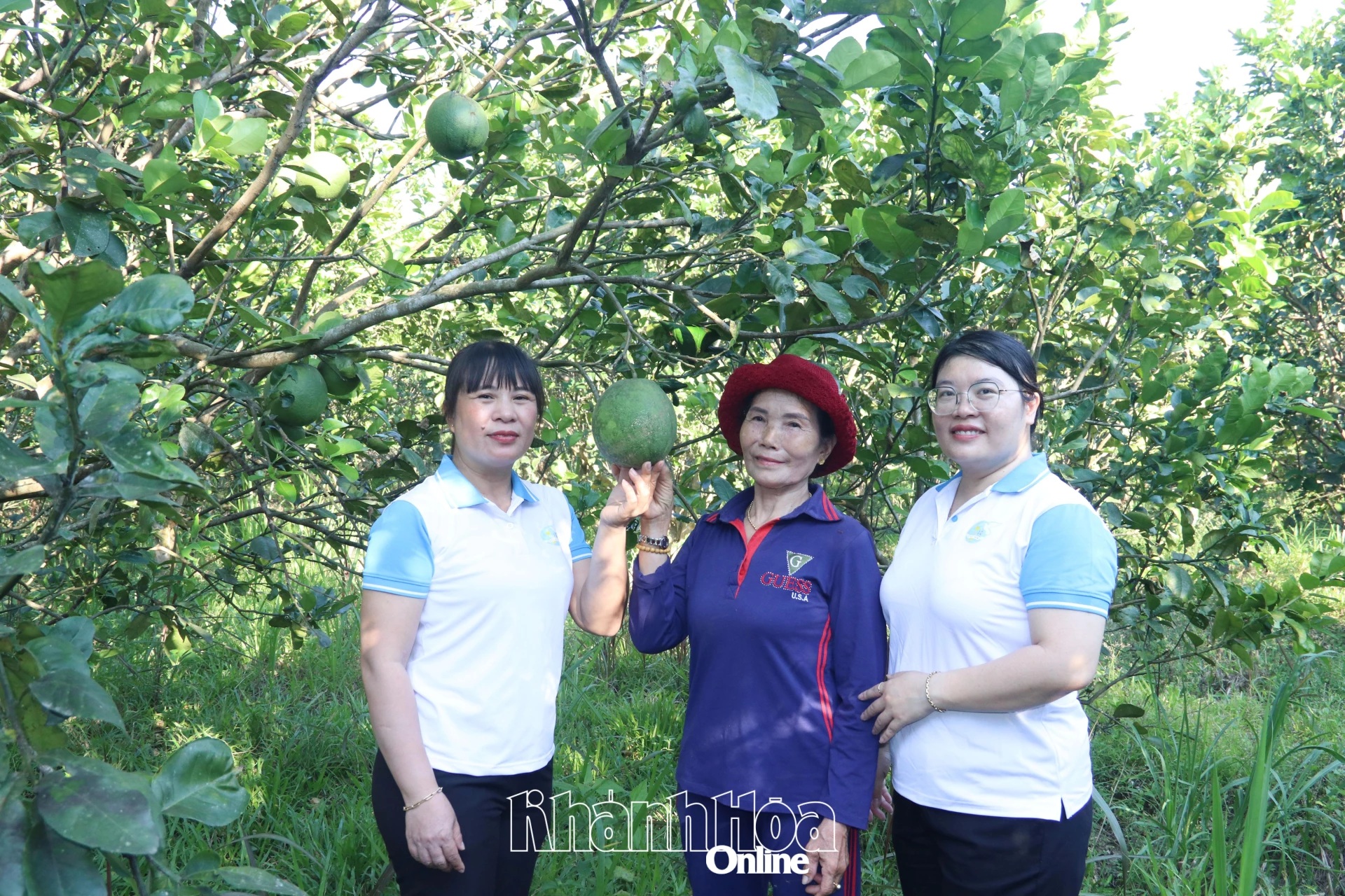 Xã Hòa Trí: Tiếp sức cho phụ nữ phát triển kinh tế