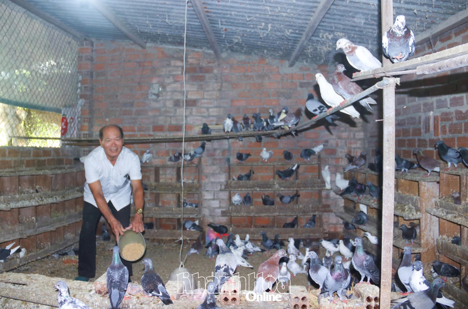 Người cao tuổi làm kinh tế giỏi