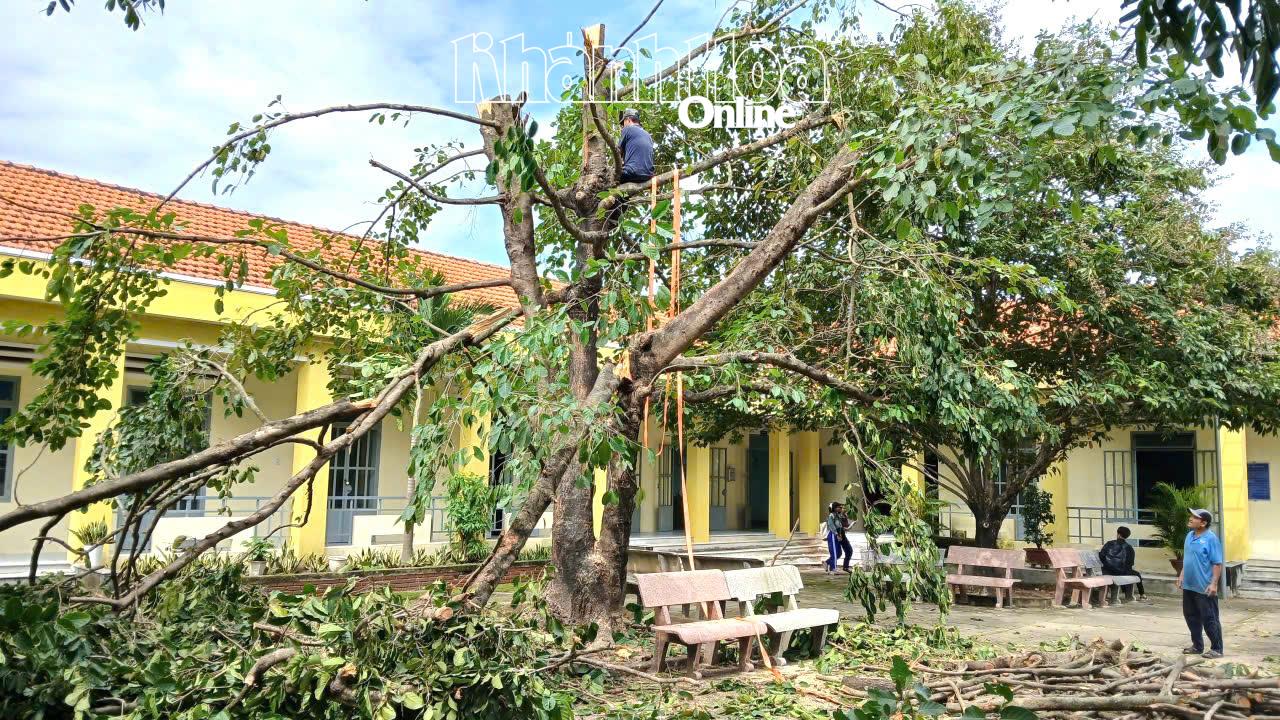 Xã Hòa Trí chủ động triển khai ứng phó bão số 15 