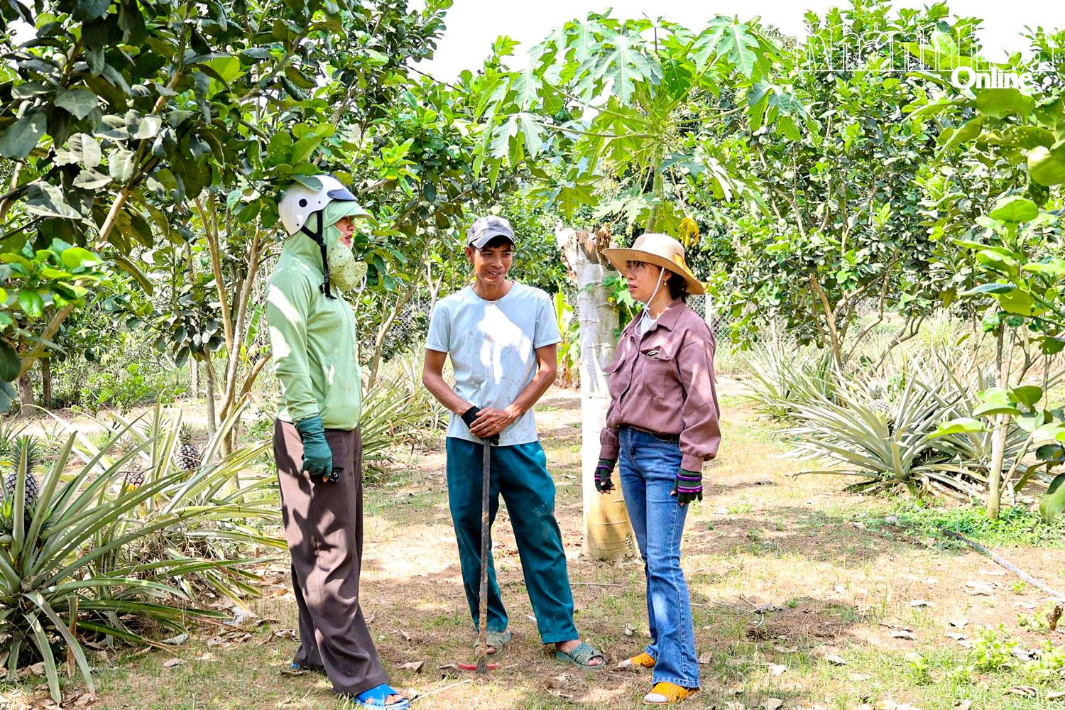 Tiếp sức cho nông dân làm giàu