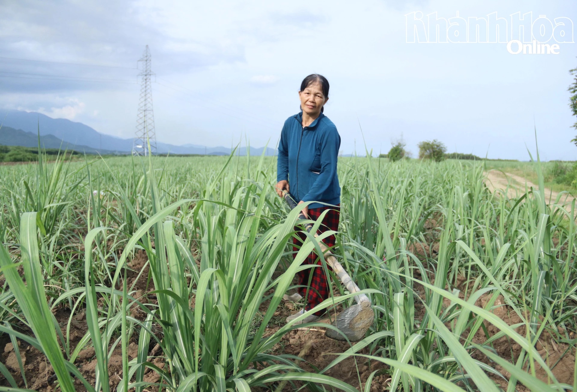 Những phụ nữ làm kinh tế giỏi 